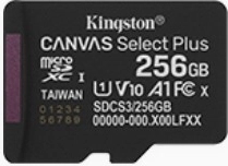 Memorijska kartica microSD 256GB Canvas Select+