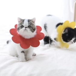 Mekani postoperativni zaštitni ovratnik za kućne ljubimce, crveni – veličina L