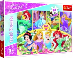 Puzzle Maxi 24 dijelova – DISNEY princeze, čarolija uspomena