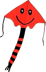 Leteći zmaj s osmijehom 80 × 60 cm