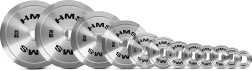 Čelični olimpijski disk HMS 0,25 kg