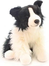 Plišani Border collie 35 cm