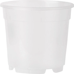 Prozirna tegla za orhideje 14 cm, 1,25 l
