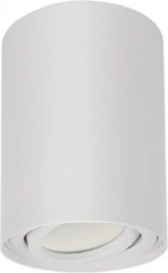 Stropna točkasta svjetiljka GU10 Bijela