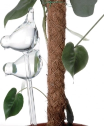 Staklene samozalijevajuće kugle za cvjetnjake – ptičice, 2 kom