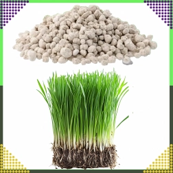 Višekomponentno gnojivo za travnjak NPK 20-8-10 granulat 10 kg