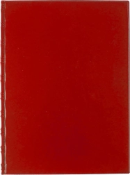 Mapa A4 s višestrukim džepovima Classic crvena