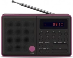 Radio Pliszka USB FM crne