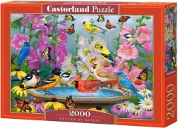 Puzzle Rhythm of Nature od 2000 dijelova