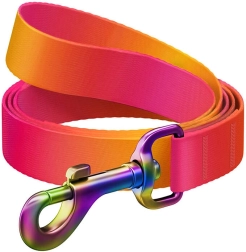 Povodac za pse WAUDOG od najlona s gradijentom, narančasti