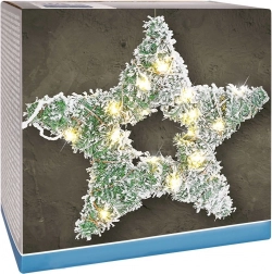 Svjetleća zvijezda s LED, 58 cm, zasniježeni bor