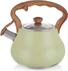 Zviždeći kuhalo od nehrđajućeg čelika GREENISH 3 l