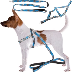 Podesivi orma s povodcem za pse i mačke – udoban set