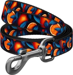 Najlonska povodac za pse s motivom Naranče 122 cm Waudog