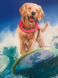 Set za dijamantno slikanje 5D 30 × 30 cm – mozaik s kamenčićima