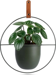 Zeleni metalni viseći omotač za teglicu Home Styling Collection 30 × 30 cm