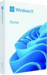 Windows 11 Home 64-bit USB Flash Drive