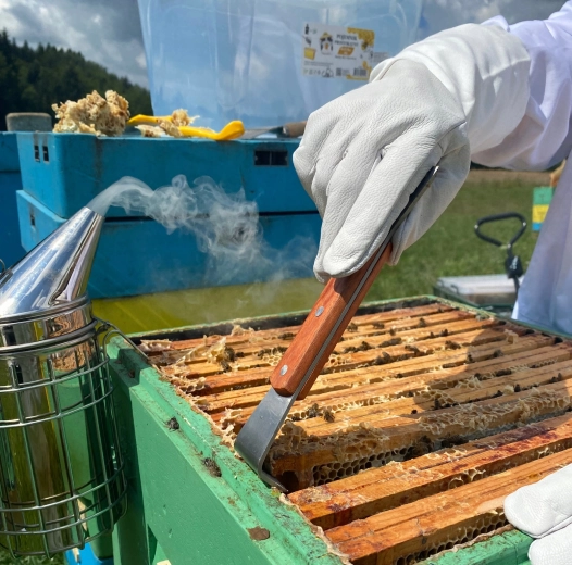 Izdržljivo sječivo od nehrđajućeg čelika