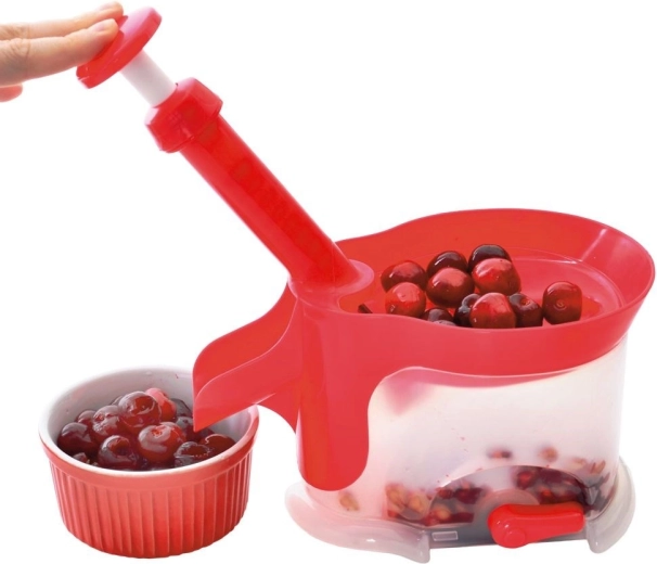 Brzo i čisto uklanjanje koštica