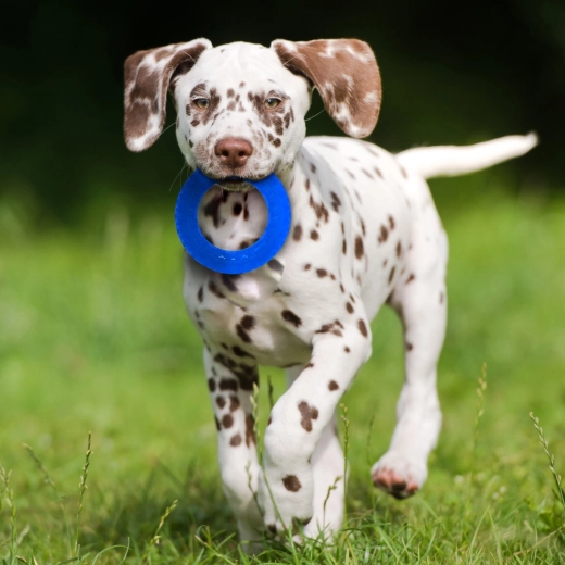 Kontrastne boje za lako praćenje