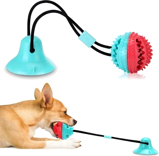 Čišćenje zubi i masaža desni