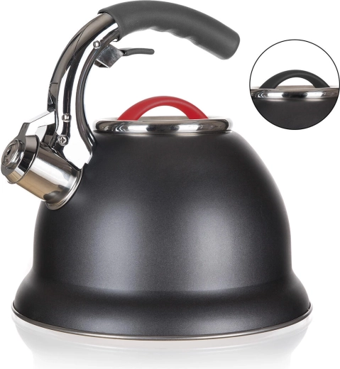 Nehrđajući zviždeći čajnik ADVANTAGE 2,7 l
