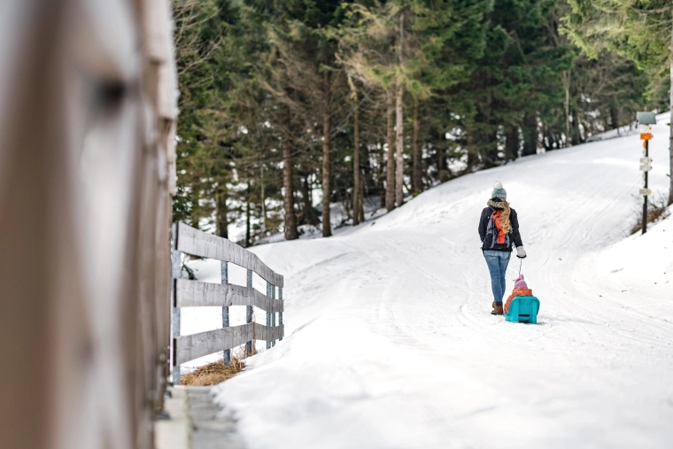 Lako povlačenje po snijegu