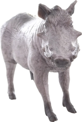 Idealno za edukaciju i kolekcionarstvo