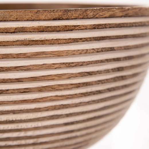 Izdržljivo mangovo drvo