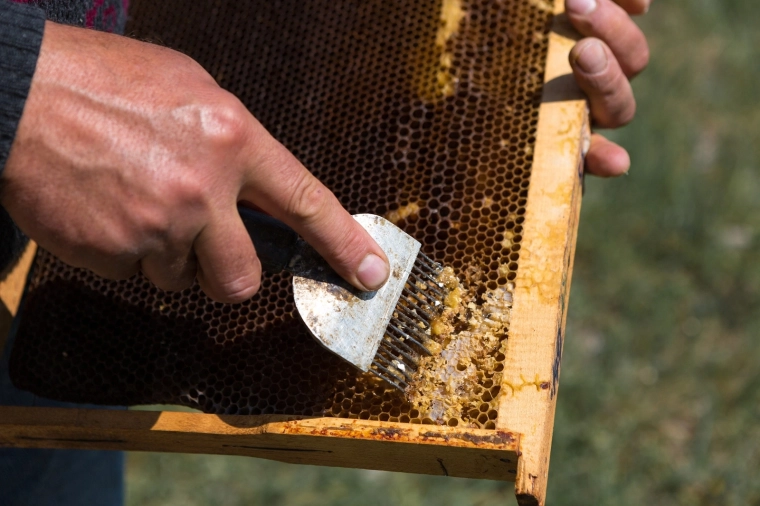 Precizni nehrđajući zupci za čisto odčepljivanje