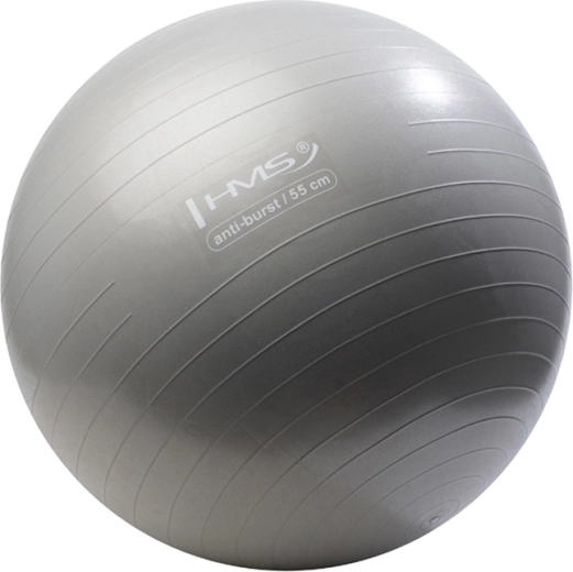 Gimnastička lopta HMS 55 cm siva