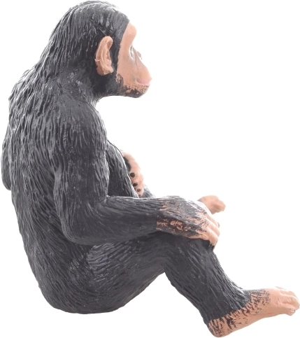 Odlično za učenje i kreativnost