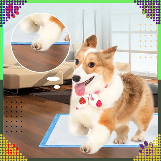 Veliki format za udobnost i sigurnost