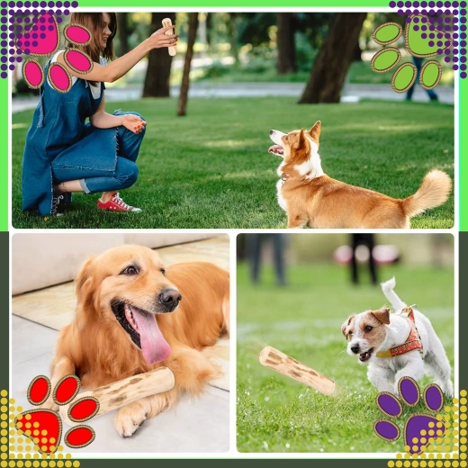 Zabava za žvakanje i aport