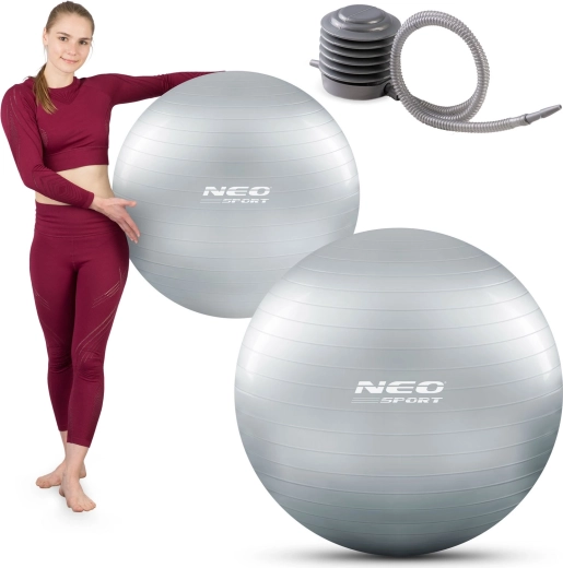 Gimnastička lopta 75 cm s anti-burst sustavom, srebrna
