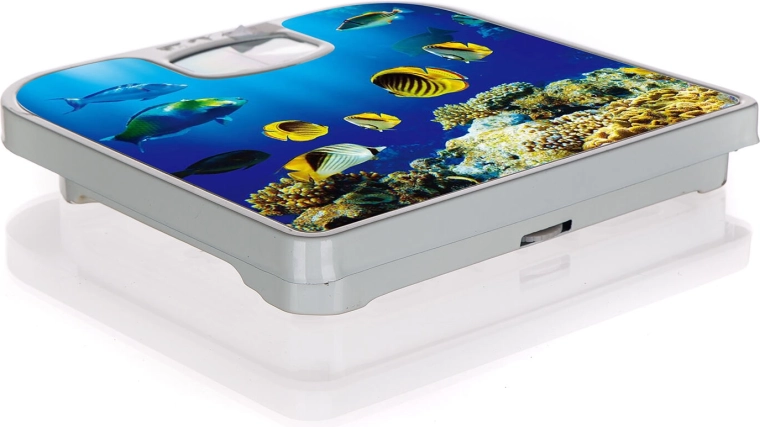 Stilski dekor podvodnog svijeta