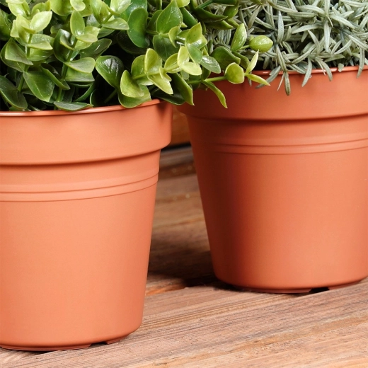 Lagana, a ipak izdržljiva