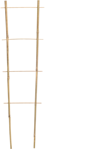 Bambusova potporna ljestvica za biljke 150 cm