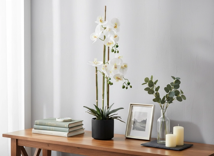 Idealna visina 77 cm