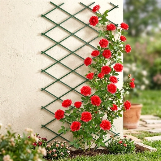 Elegantna potpora za ruže i druge penjačice