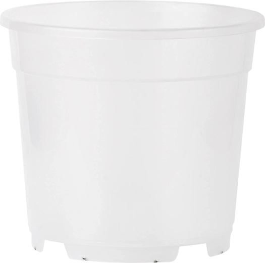 Prozirna tegla za orhideje 0,8 l