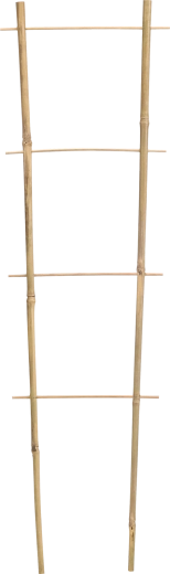 Dvostruka bambusova potpora za penjačice 45 cm