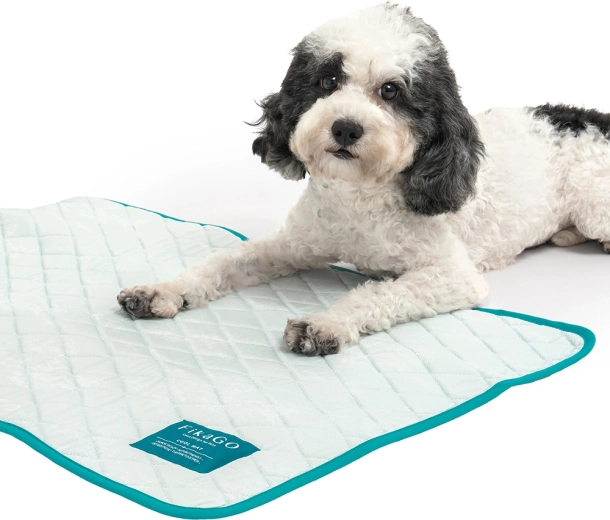 Lagana, kompaktna i spremna za put