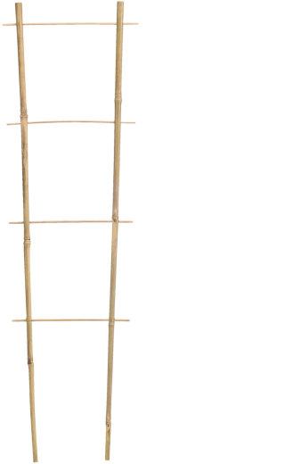 Bambusova potpora – ljestve 120 cm