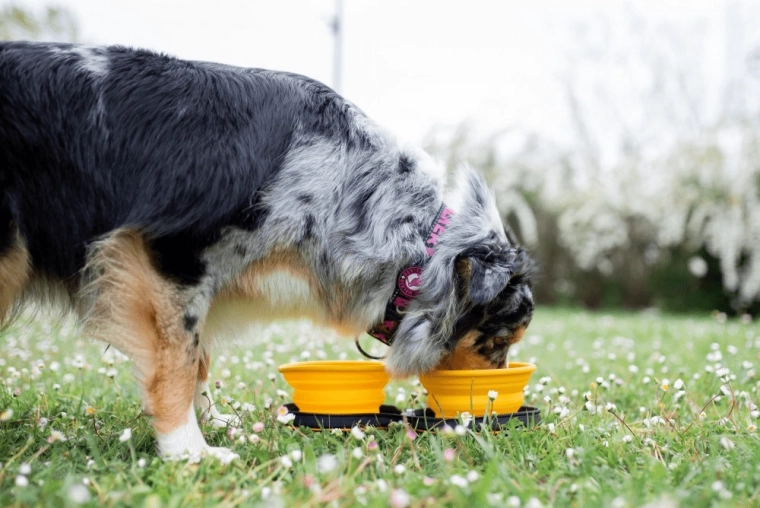 Brza upotreba bilo gdje