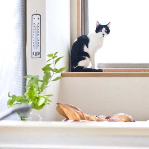 Elegantni drveni dizajn