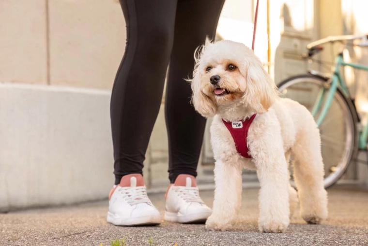 3D Comfort fit: udobnost bez pritiska na vrat