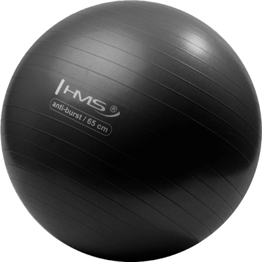 Gimnastička lopta HMS 65 cm crna