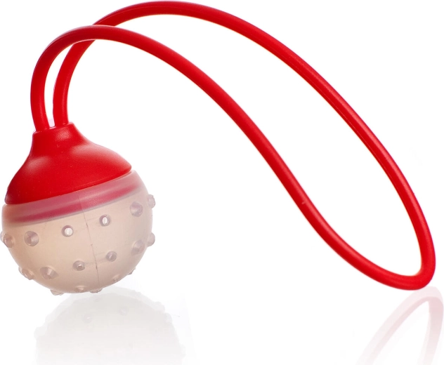 Silikonsko sito za čaj i začine CULINARIA, 5 × 22 cm, crveno