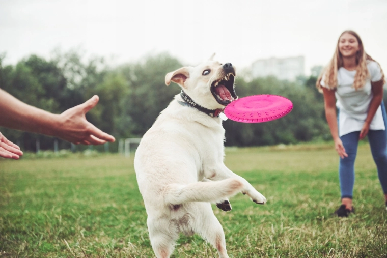 Stabilan let i lako hvatanje